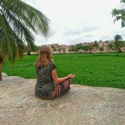 Meditative Stimmung am Reisfeld