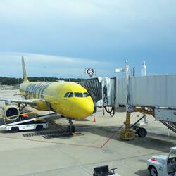 Mit Spirit Airlines nach DC...