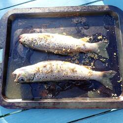 The hunter / gatherers never fail to deliver!