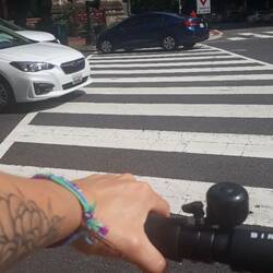 Mit dem gemieteten Elektroroller zum Zoo 🛴