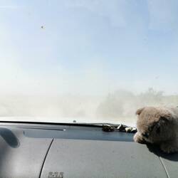 Was in Russland die Pfützen waren ist in Kasachstan der Staub, dementsprechend sieht unser Auto aus