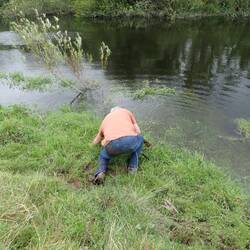 Floundering in the mud