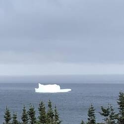 Iceberg!