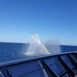 Und hier werden wir gerade aus dem Hafen geleitet.