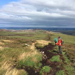 Peat bogs on the way down