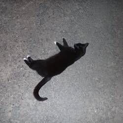 Just one little stroke?