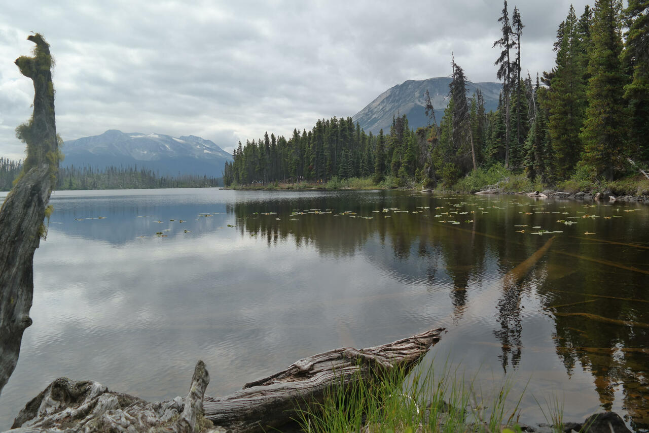 Turner Lake