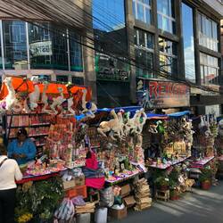 Das sind leider keine Alpaka Stofftiere - der Hexenmarkt