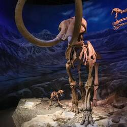 Mammut und Säbelzahntiger