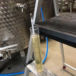 ...bis der richtige Zuckergehalt erreicht wurde