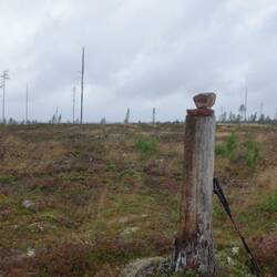 Nach Evertsberg habe ich Vasaloppet wieder für mich.