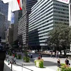 Freie Bahn für New Yorker und Touristen