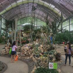 Das Kakteengewächshaus P.S. Man sieht links im Hintergrund, wie die beiden Asiaten ihre Flaschen fotografieren