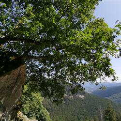 Lots of nice views on the "Sentier des Roches"!
