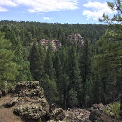 View from the rim of Walnut Canyon