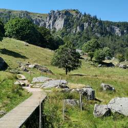 Almost an alpine landscape!