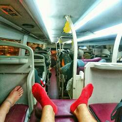 Schnappschuss aus dem Sleeping Bus