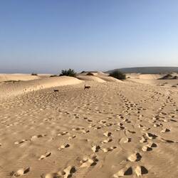 Der morgendliche Spaziergang über die Dünen