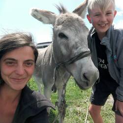 Who's the donkey?