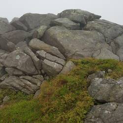 Bolders on way up Rhingos Fach