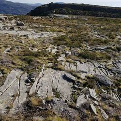 Limestone pavement