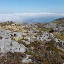 More limestone pavement