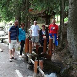 Walking in the woods