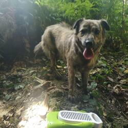 Unsere Aufpasserin "April"