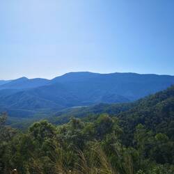 Danbulla Nationalpark