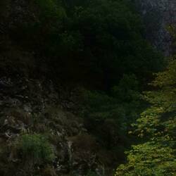 Thorenburger Schlucht