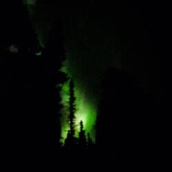 Auf dem Foto kommen die Farben besser raus als in echt! Nordlichter in der Nacht ❤️