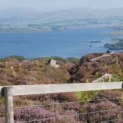 Llyn Trawsfynydd cycle path looking down to lake