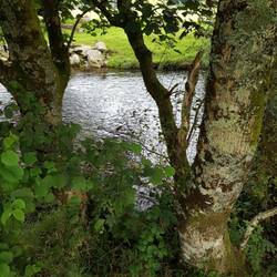 Afon Dwyryd running beside campsite