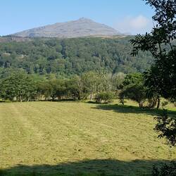 Looking north to Moelwyn Bach