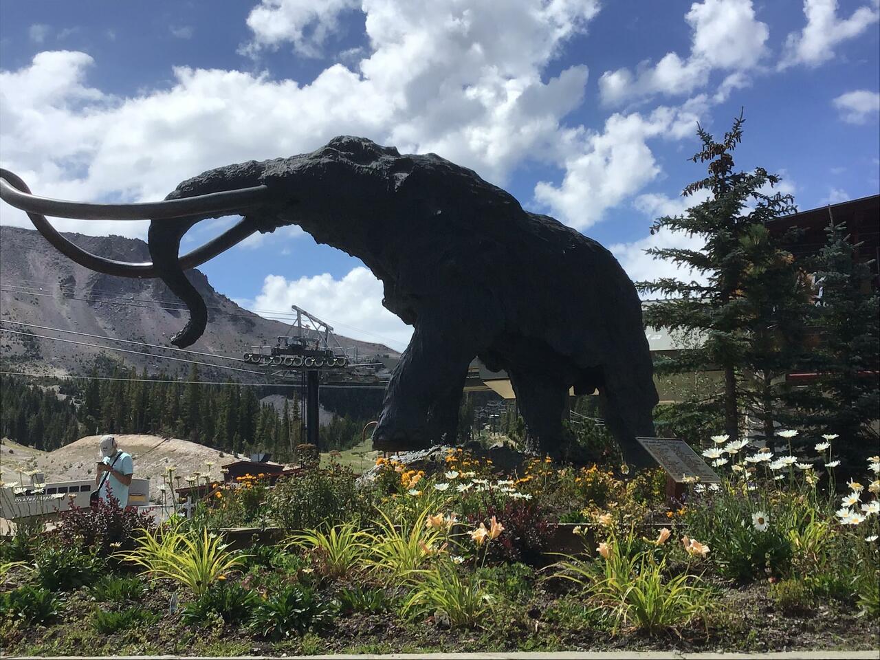 The Mammoth at the Gondola station