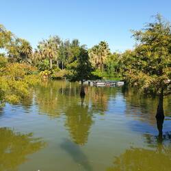 Auch das ist Barcelona - Natur pur.