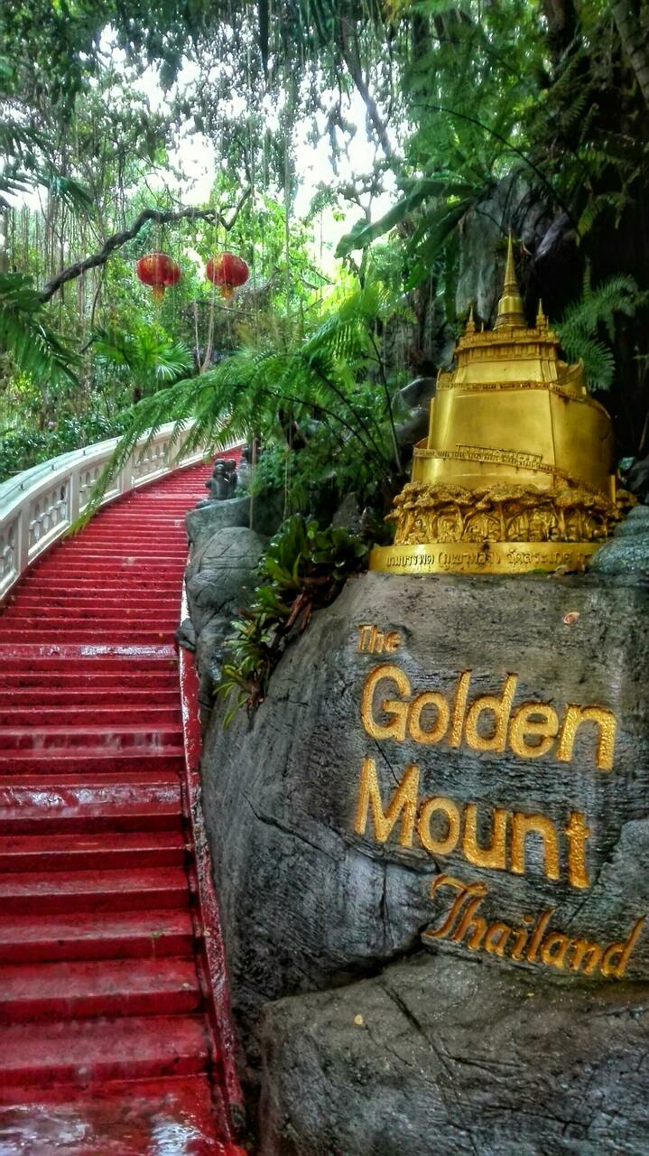 Der Aufstieg zum Golden Mountain