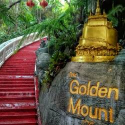 Der Aufstieg zum Golden Mountain