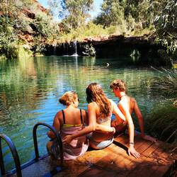 Fern Pool