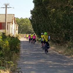 Ghostriders on a country lane near Aigues Mortes.