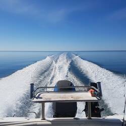 Super calm fishing