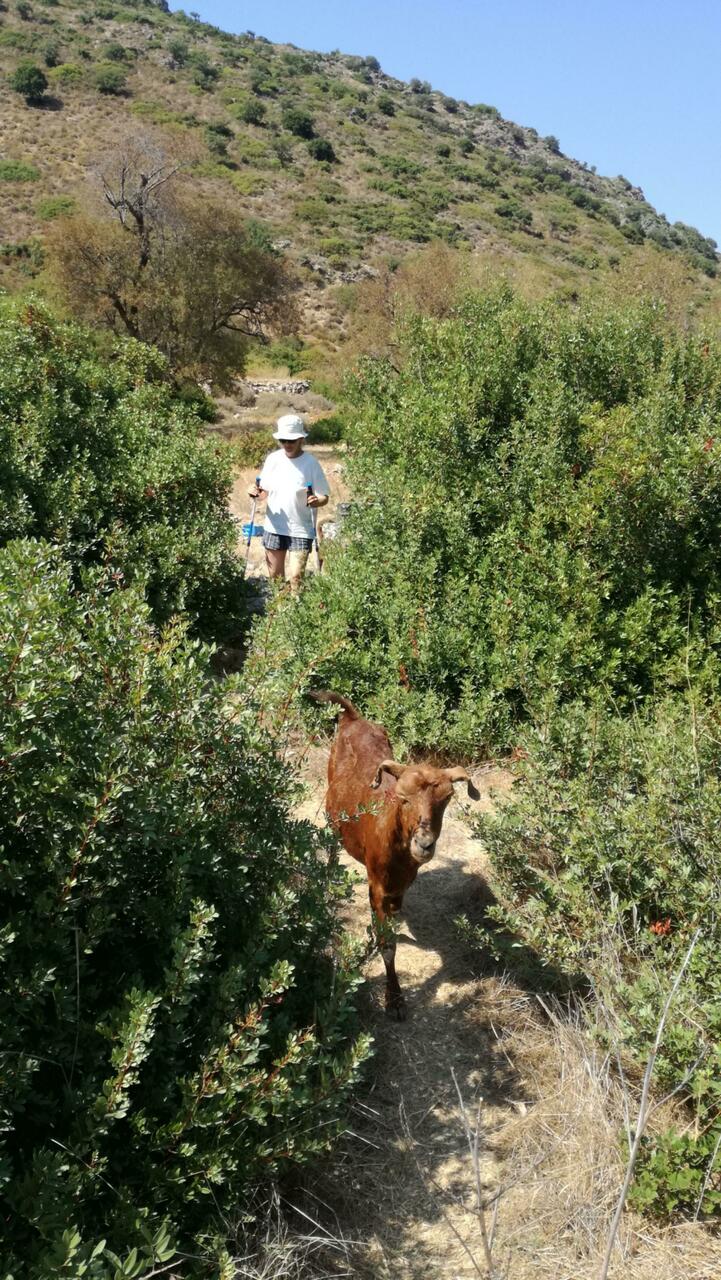 Wandergesellschaft