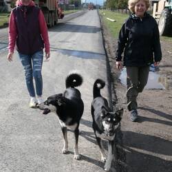 Janet, Ksenia and our two new walking mates set out
