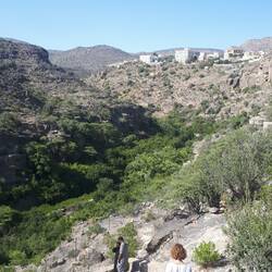 Viele Treppenstufen hinab ins Wadi Habib...
