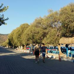 Palamut Downtown