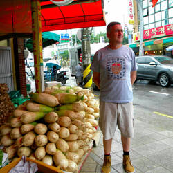 Radishes, Sokcho Markets
