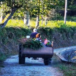 Da hätte ich vielleicht aufspringen sollen 😉