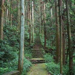 Abstieg über rutschige Treppen