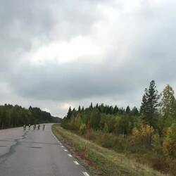 30km/h 💪