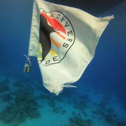 ...das Motto ist Programm: "Extra Divers" 😉